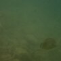 P7200010